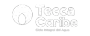 Tecca